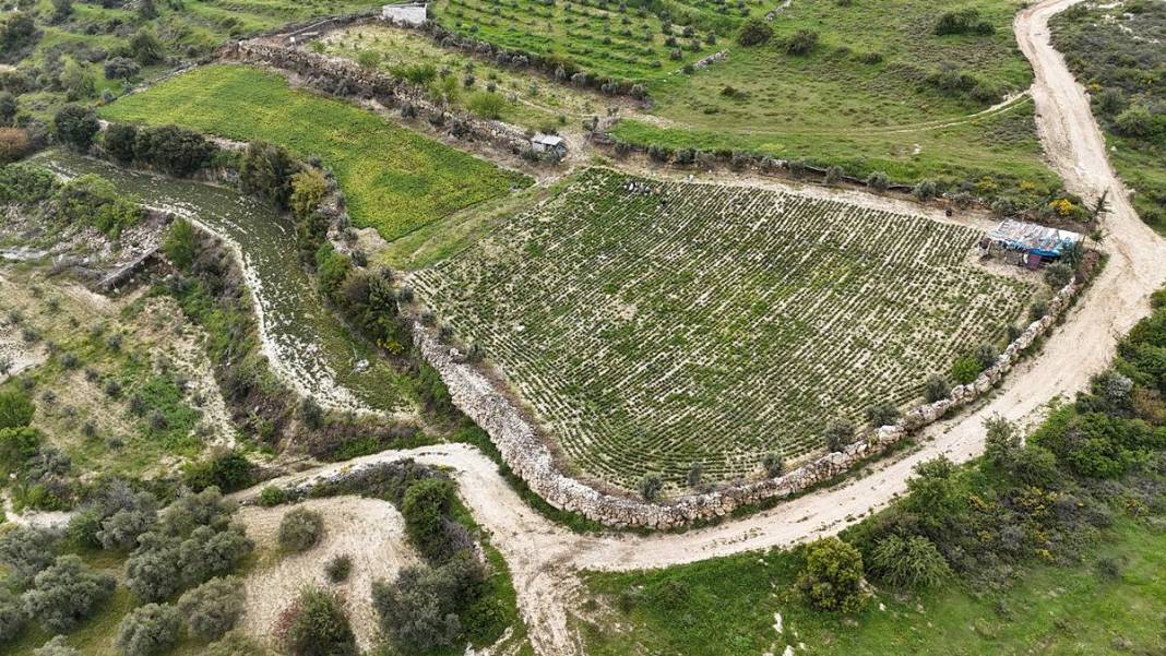 Hatay mutfağının gizli kalmış eşsiz lezzeti korunmaya alındı 3